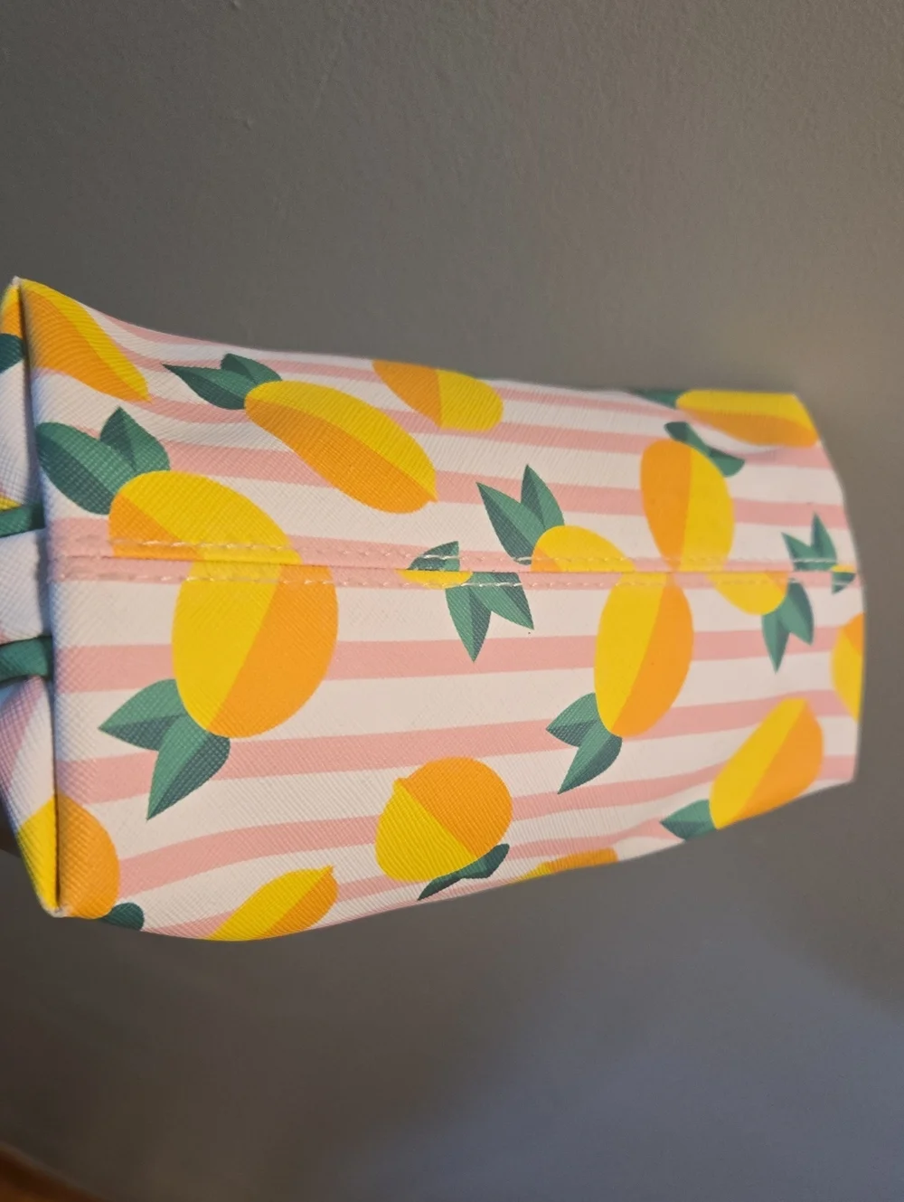 Dabney Lee Pink Stripe Lemon Cosmetic Pouch